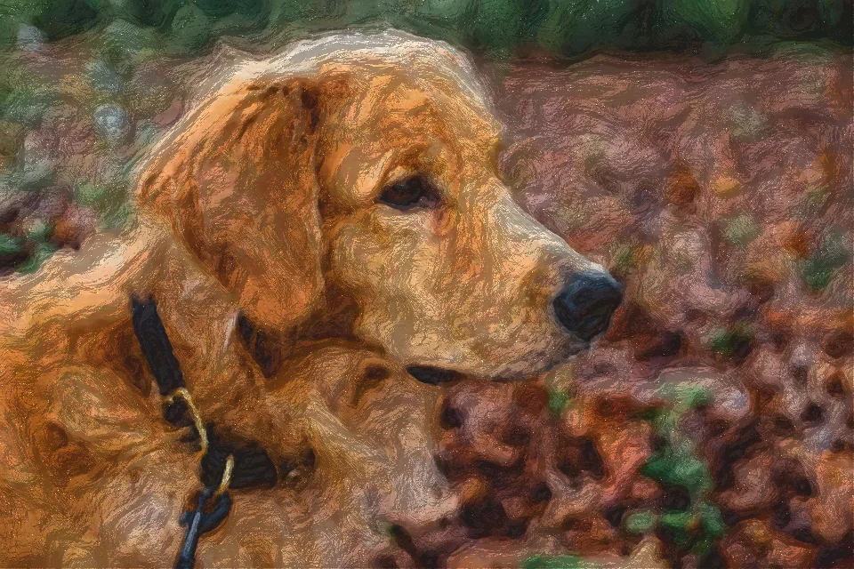 The photo painted in oil by Impasto